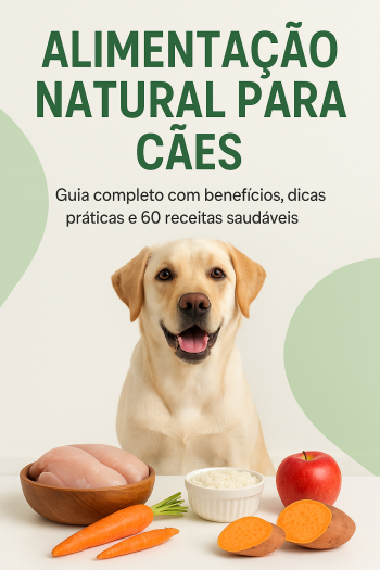 ChatGPT Image 1 de out. de 2025, 09_22_53